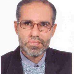 شهید محمدرضا زرین