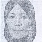 8800479.jpg