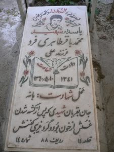 grave shahid