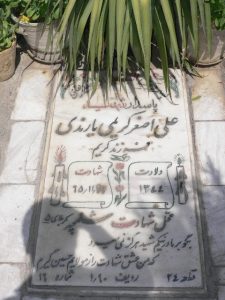 grave shahid