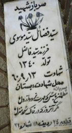 grave shahid