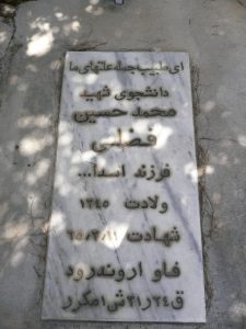 grave shahid