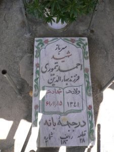 grave shahid