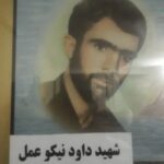 داود نیکو