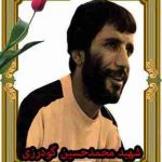 قاب-شهید -محمدحسین-گودرزی