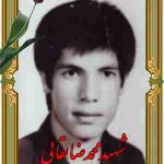 محمدرضابقایی