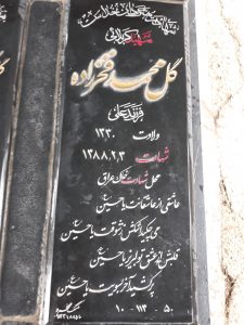 grave shahid