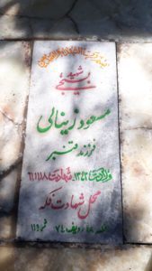 grave shahid