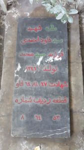 grave shahid