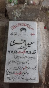 grave shahid