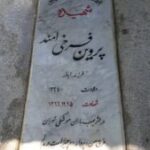 شهید پروین فرخی امندی