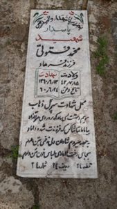 grave shahid