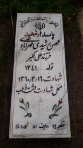 grave shahid