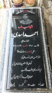 grave shahid