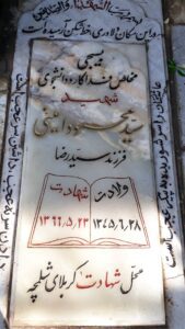 grave shahid