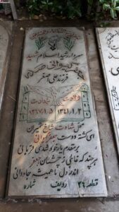 grave shahid