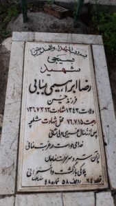 grave shahid