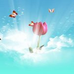 شهید فریده آقابابایی