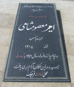 grave shahid