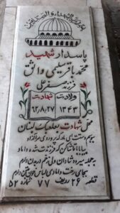 grave shahid