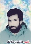 شهید حسن زارعی نژاد