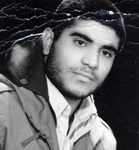 6300389.jpg