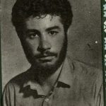 6315252.jpg