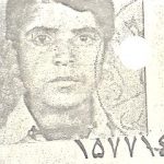 6407071.jpg