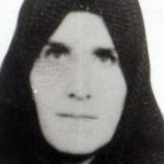 6412043.jpg