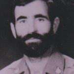 6519977.jpg