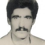 شهید رجب علیپوردامنابی