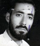 6530422.jpg