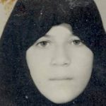 6617775.jpg