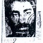 6800228.jpg