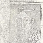6901049.jpg