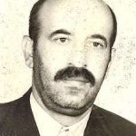 7800736.jpg