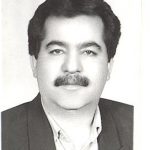 7900566.jpg
