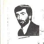 8200351.jpg