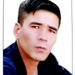 شهید ذوالفقار علی محمدی