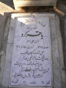 grave shahid