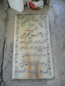 grave shahid