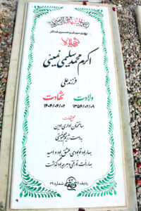 grave shahid