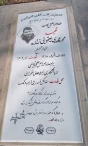 grave shahid